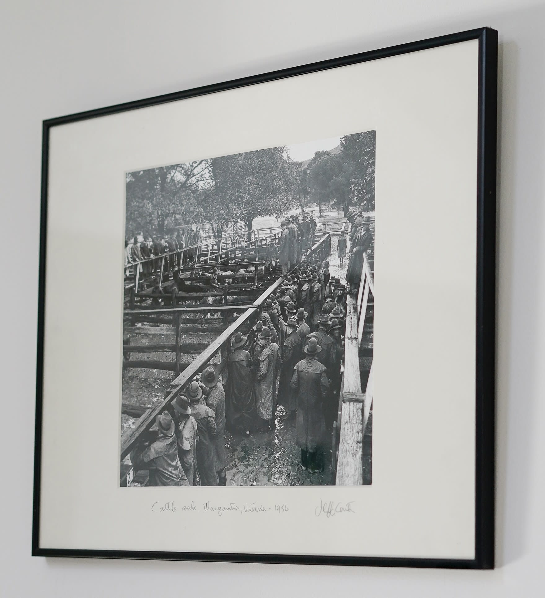 The Ilsley Collection