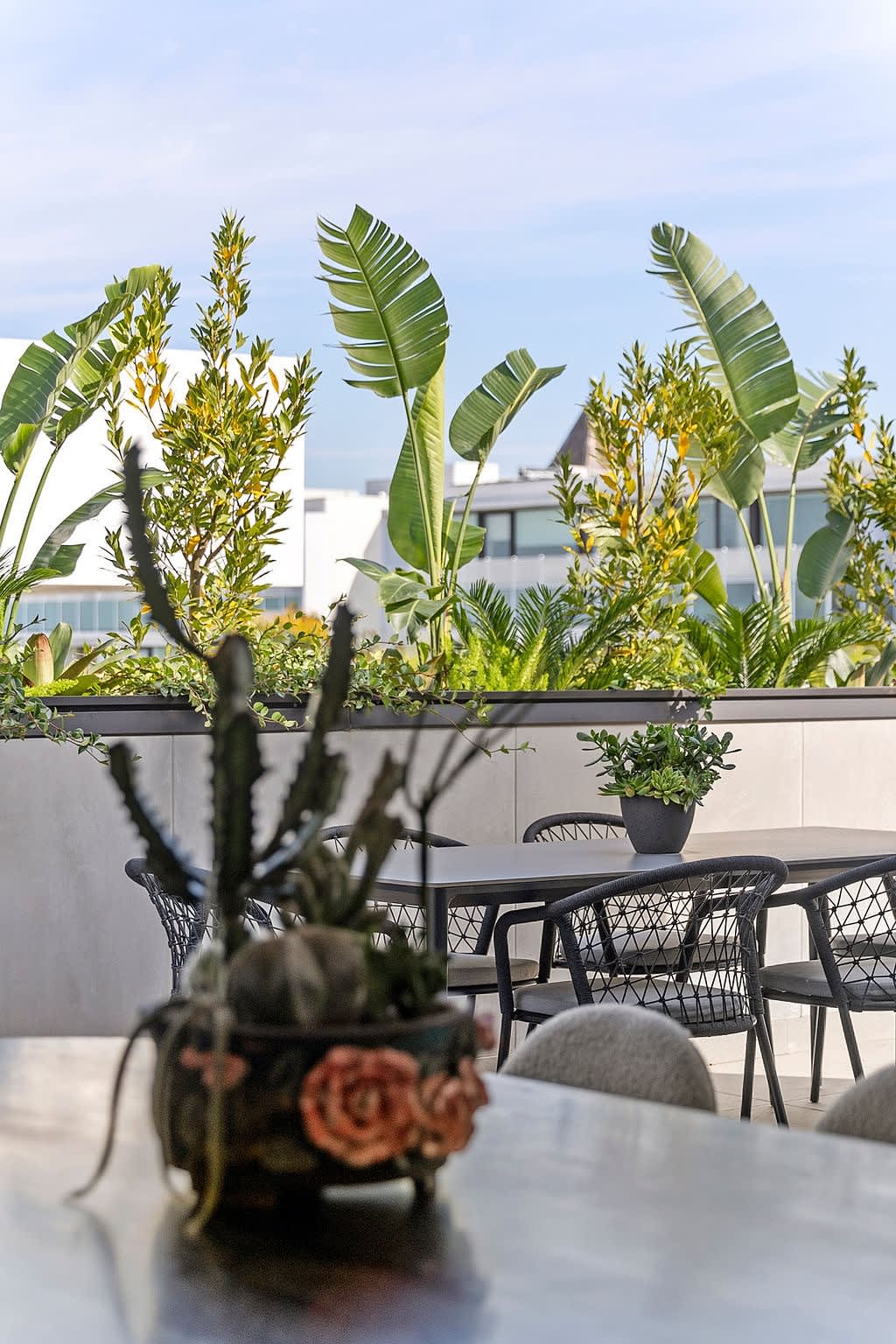 Photography Credit: Lee Sanders