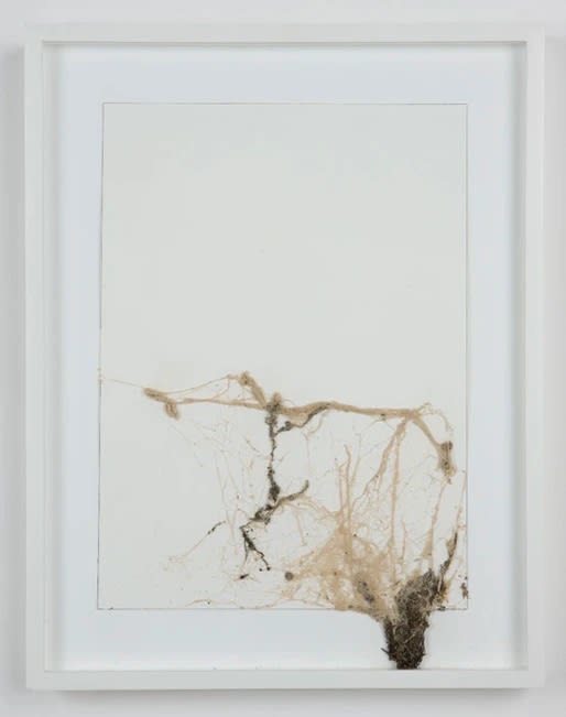 Josh Tonsfeldt Untitled, 2008 Spray paint on spider’s web on paper 14.4 x18.4 in