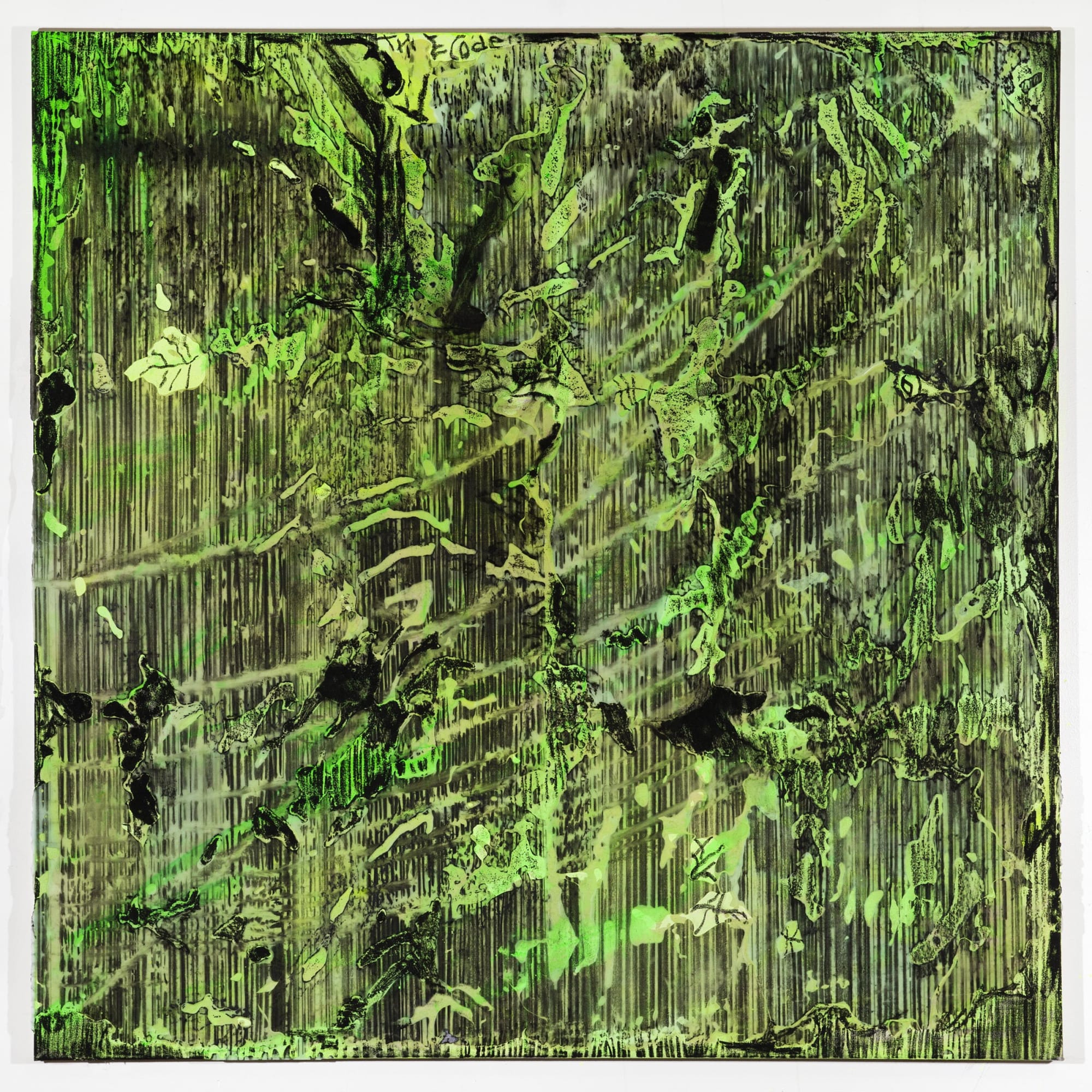 JPW3 cryptoleaf, 2018 Oil pastel, charcoal, and acrylic on wax 60 x 60 in 152.4 x 152.4 cm