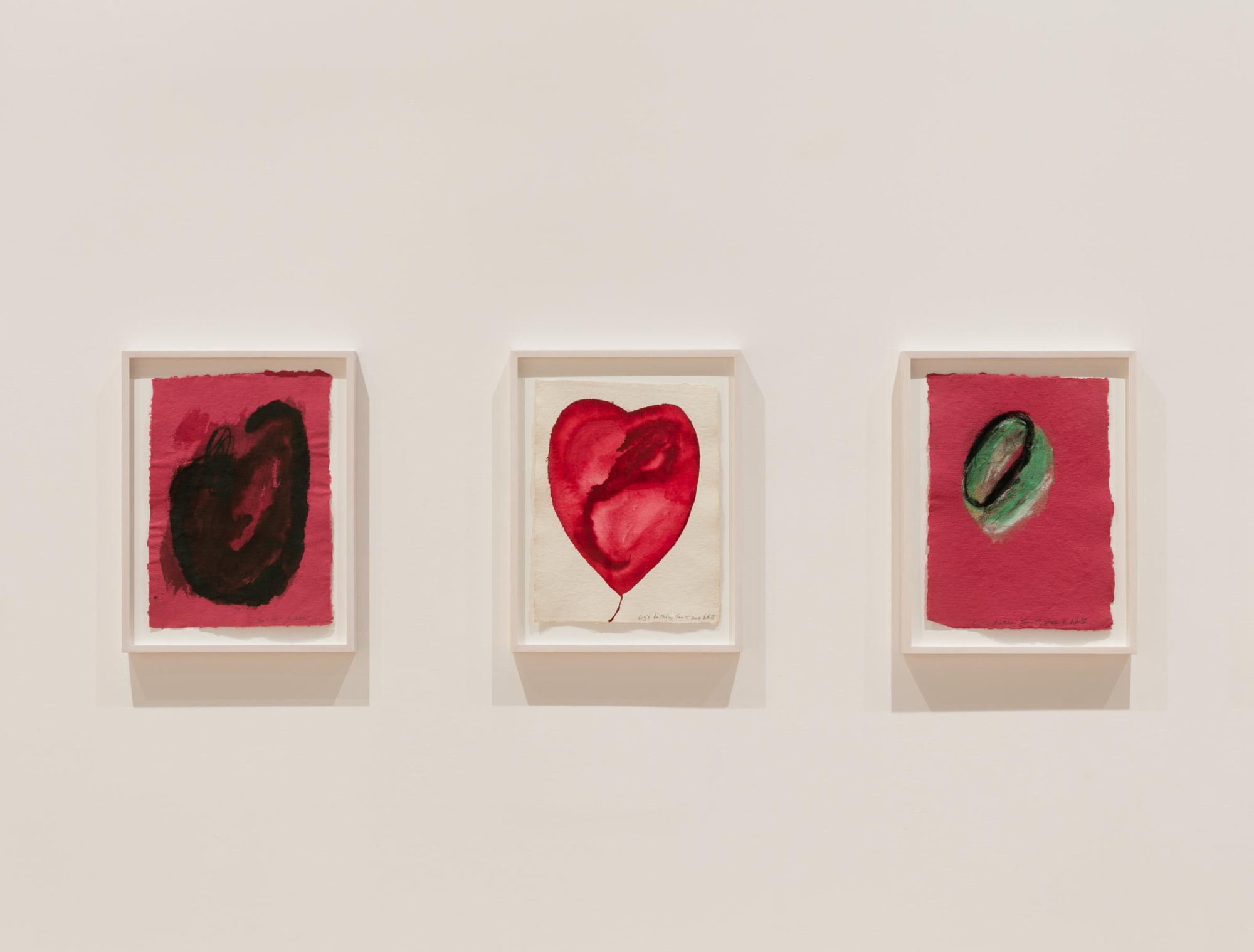 A Year of Firsts, Gallery Installation, 2017