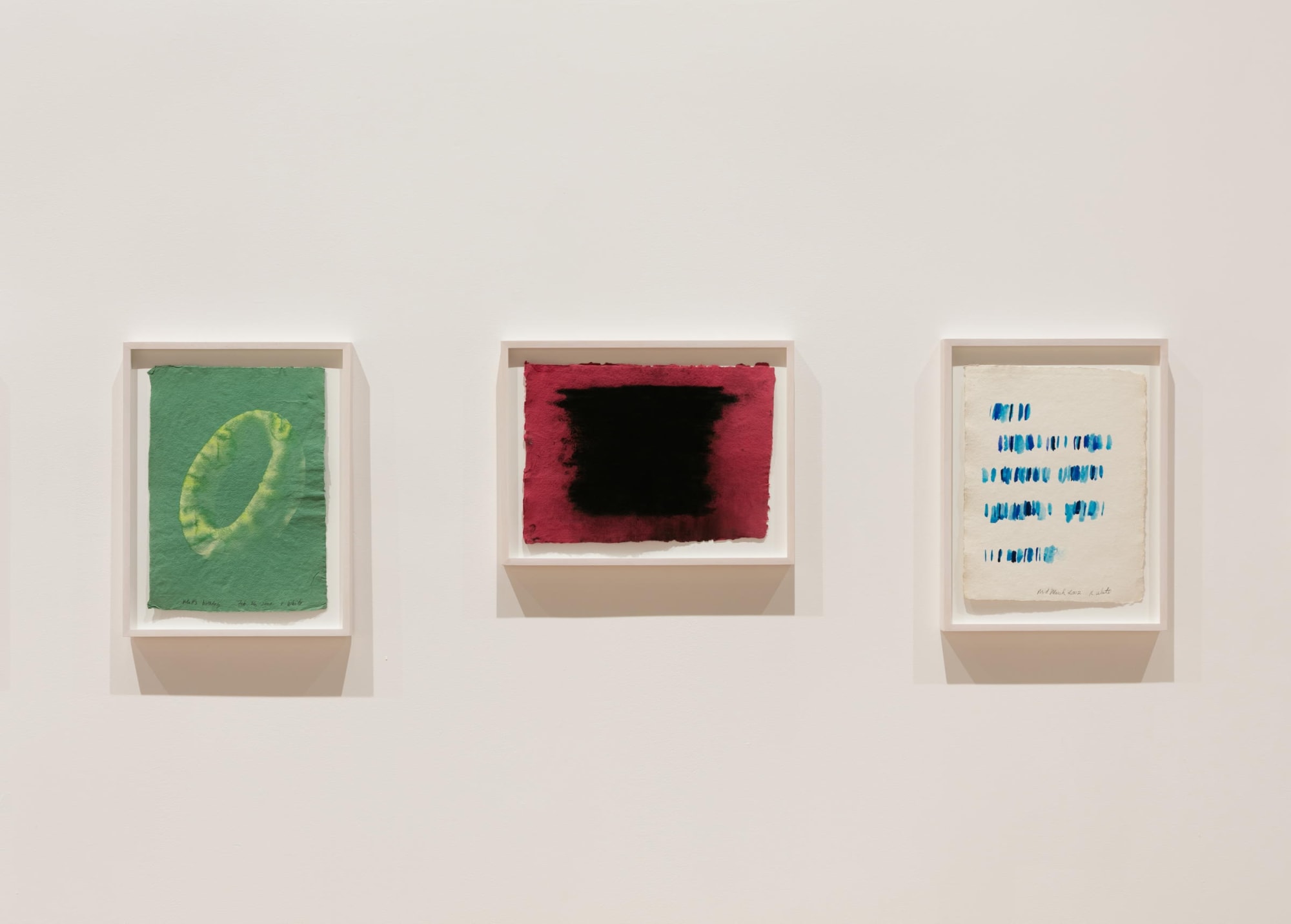 A Year of Firsts, Gallery Installation, 2017