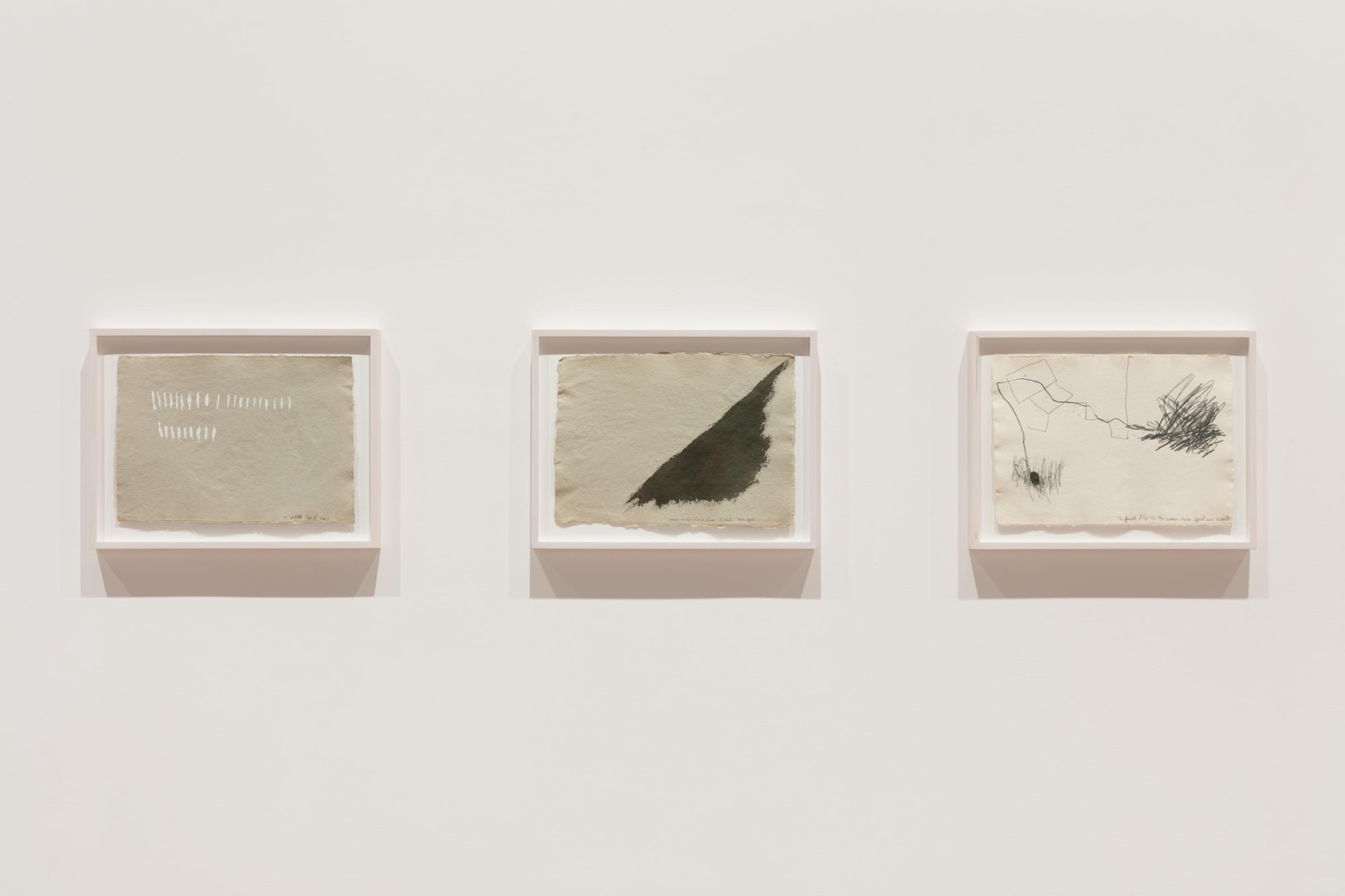 A Year of Firsts, Gallery Installation, 2017