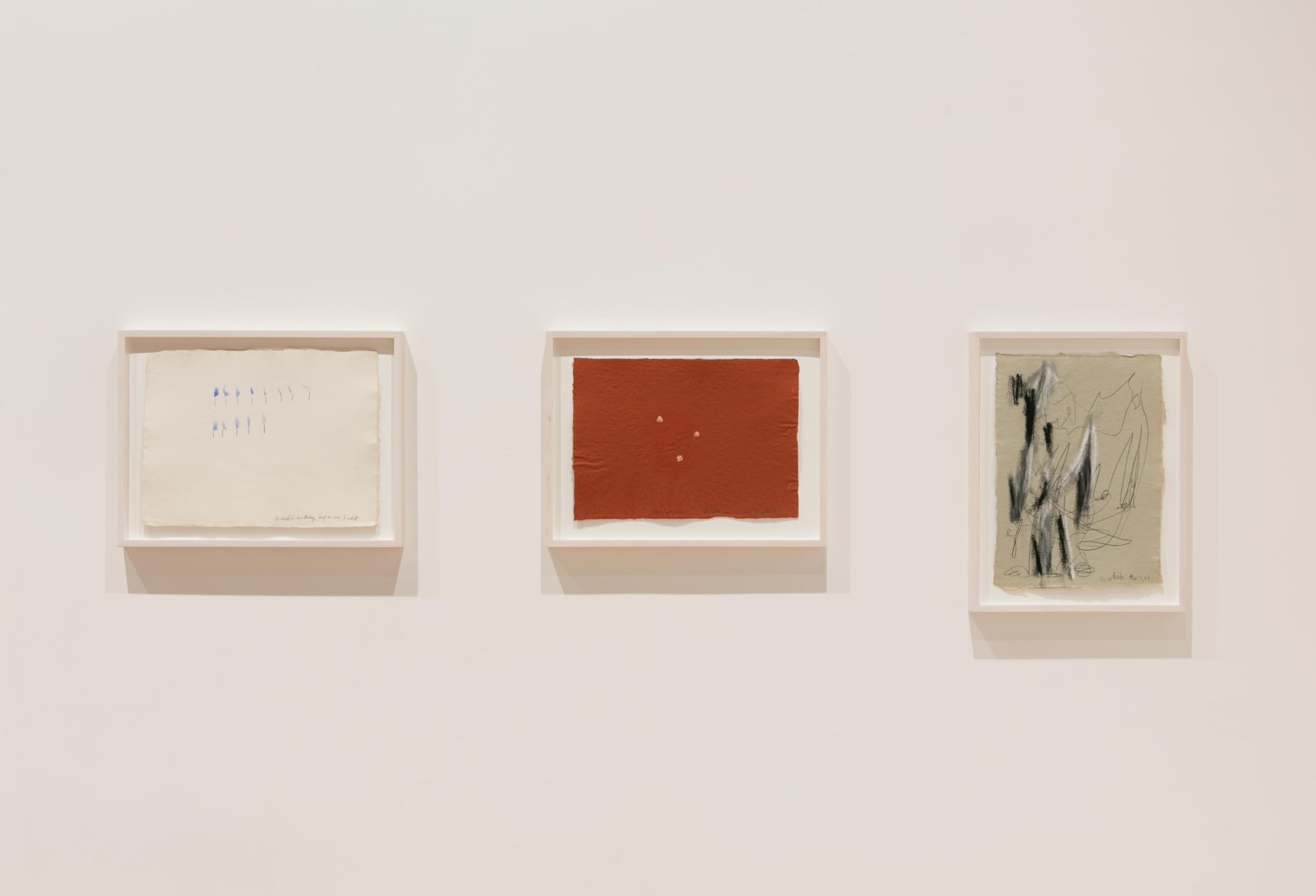 A Year of Firsts, Gallery Installation, 2017