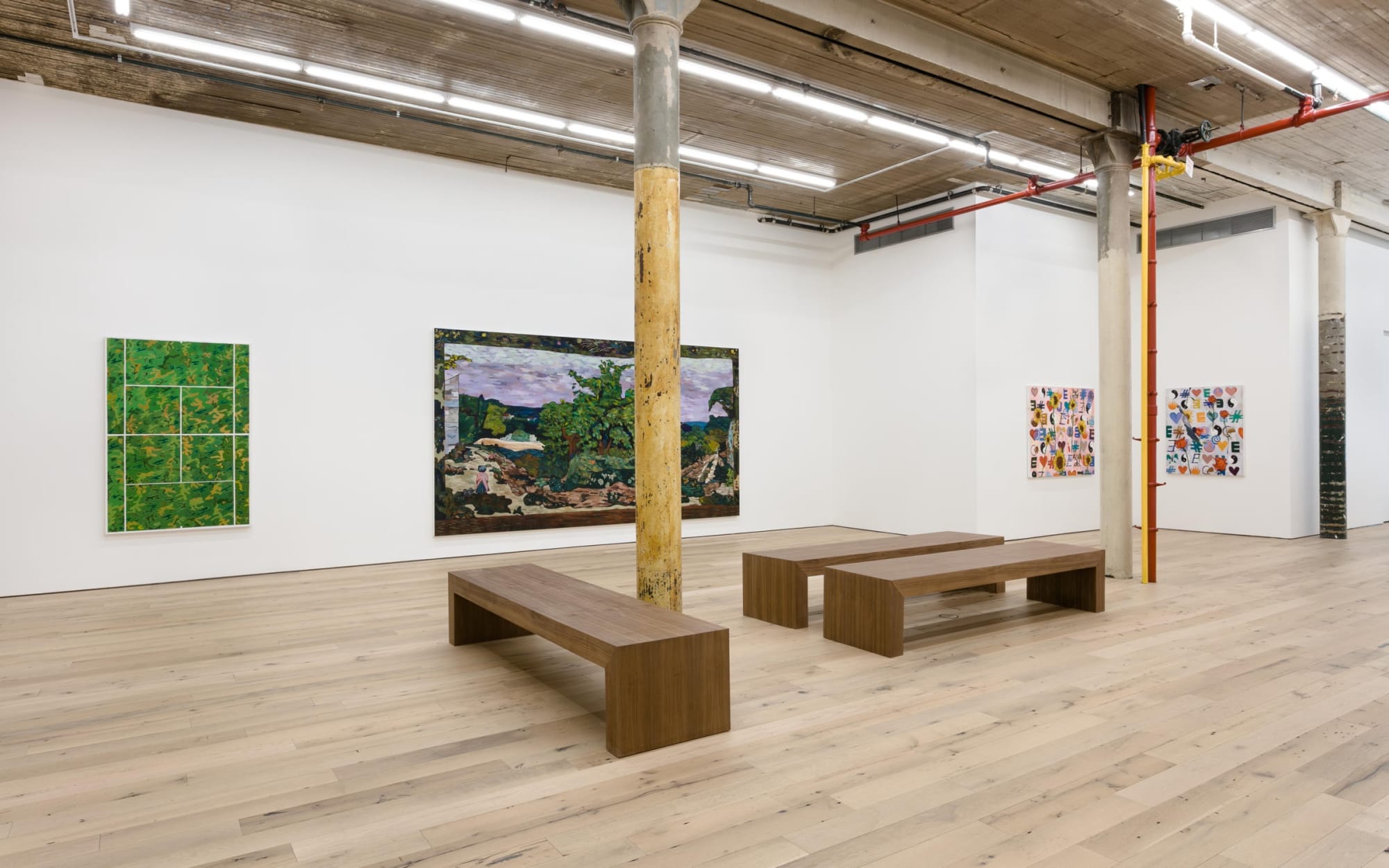 Dizzy Buchanan, Gallery Installation, 2017