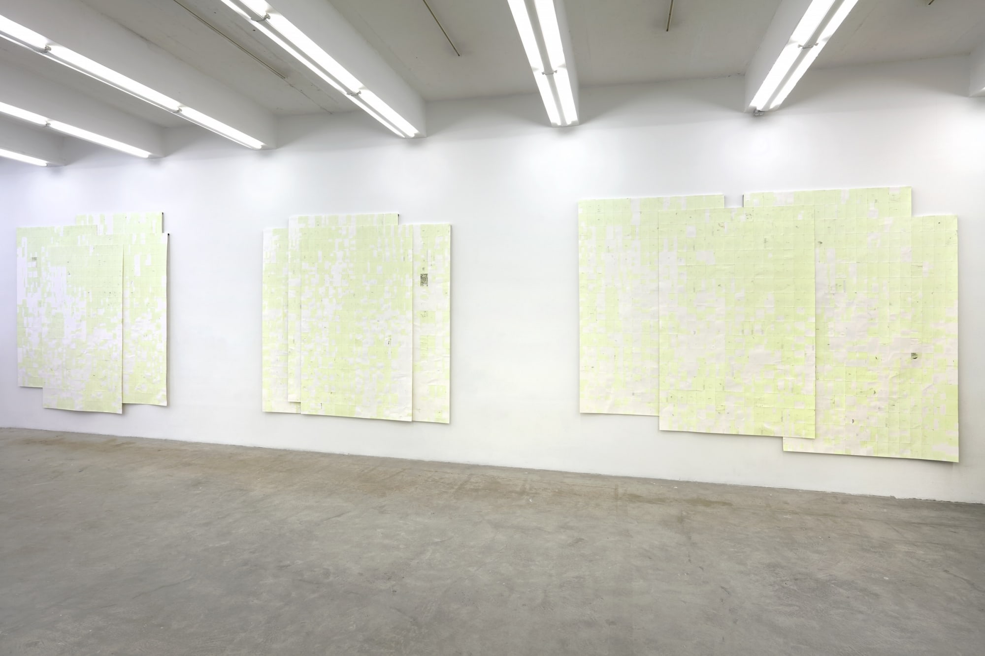 Winter, summer together, Gallery Installation, 2016