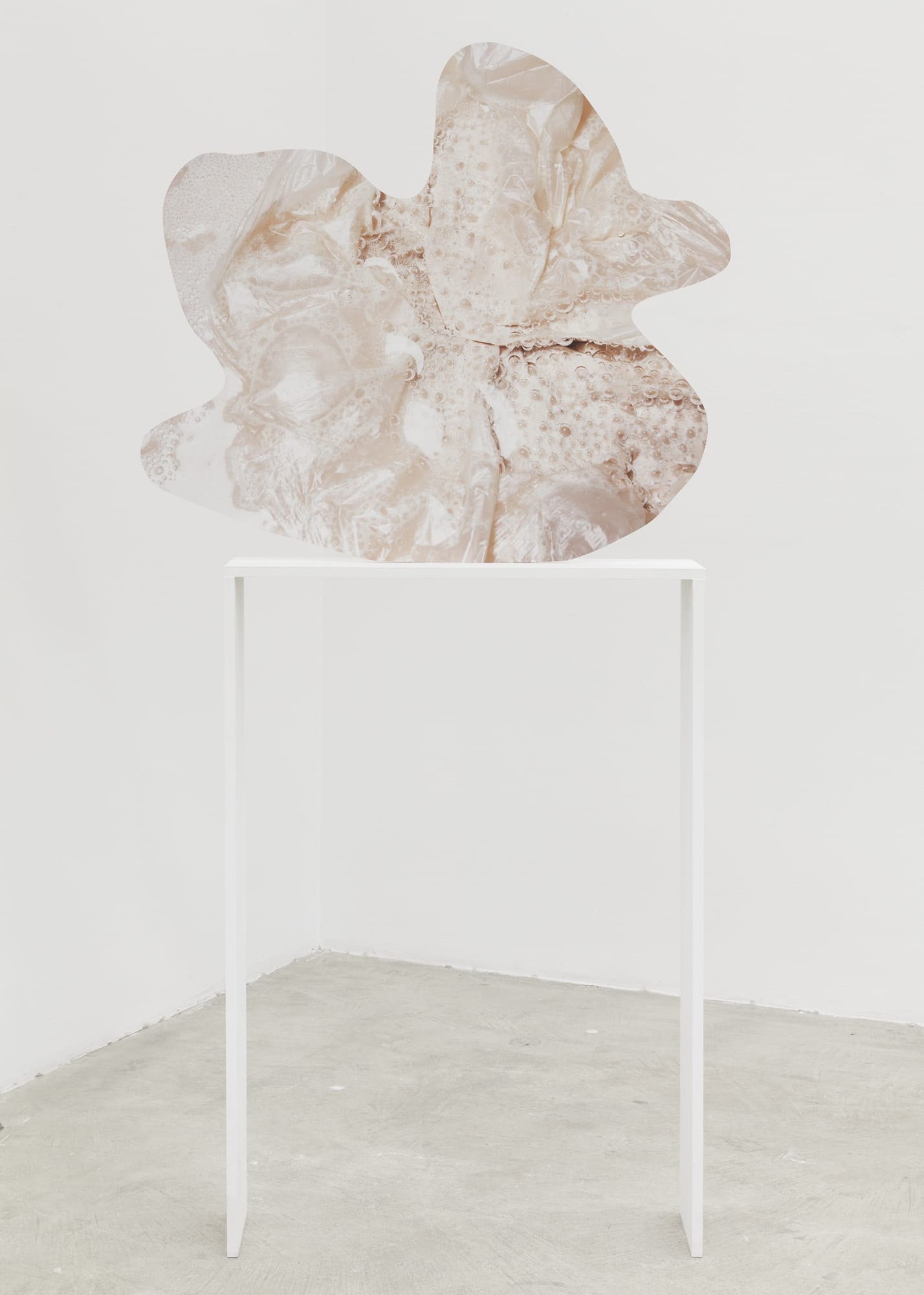 Rachel de Joode Contiguity I, 2015 archival inkjet print on PVC 31 x 33 inches