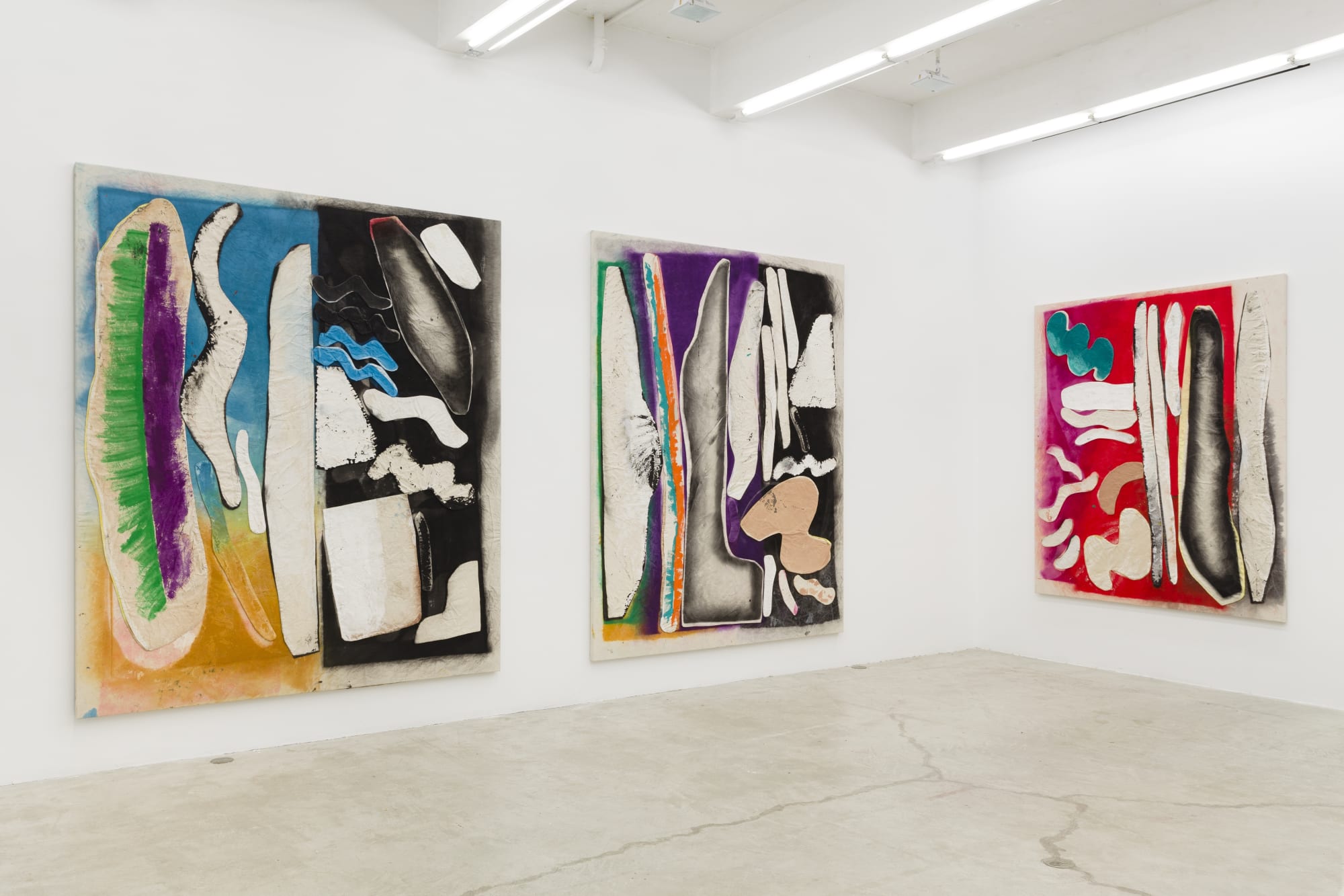 Planet without a body, Installation View, 2015