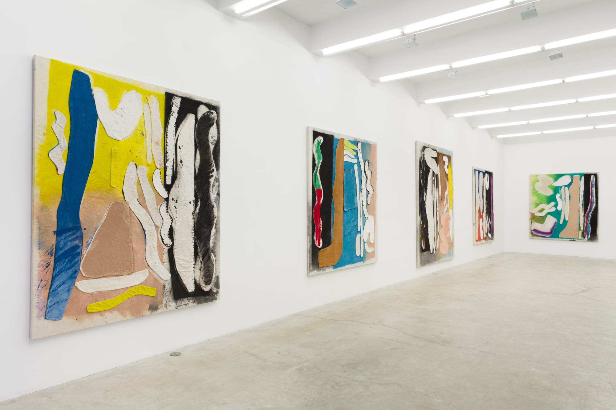 Planet without a body, Installation View, 2015