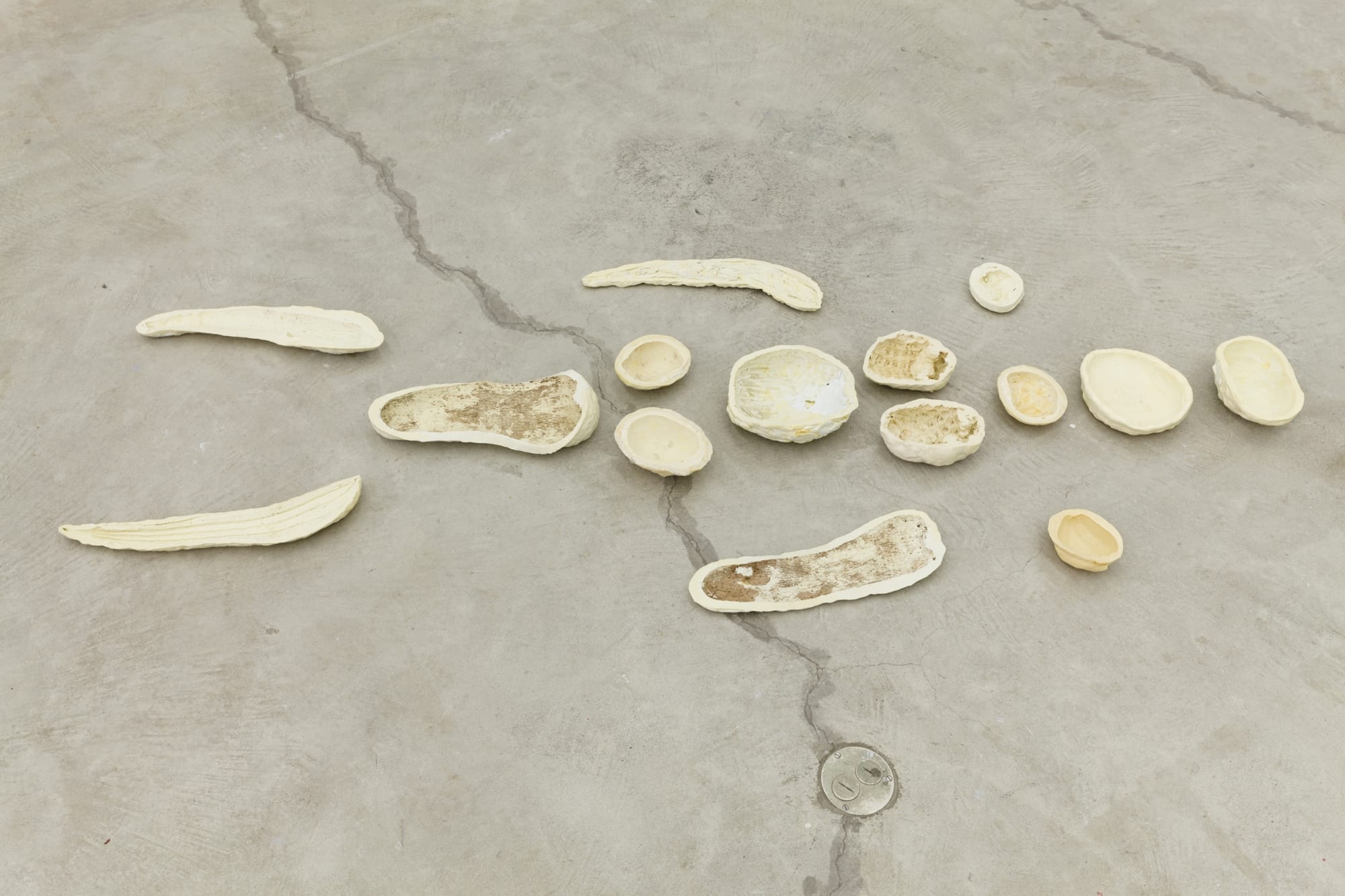 Lupo Borgonovo Frutttolo, 2014 silicon rubber Dimensions variable