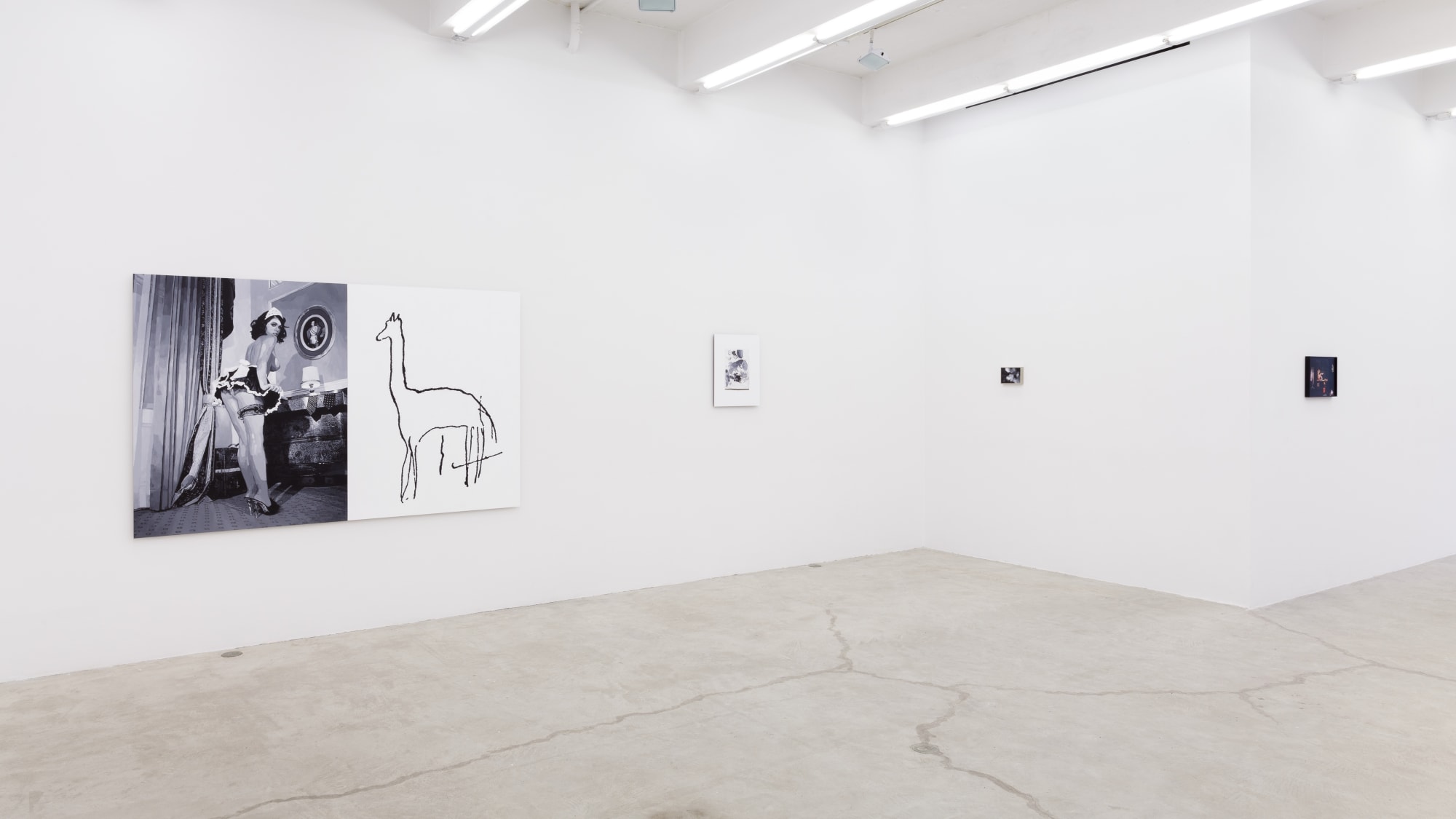 I Know It When I See It, Installation View, 2013