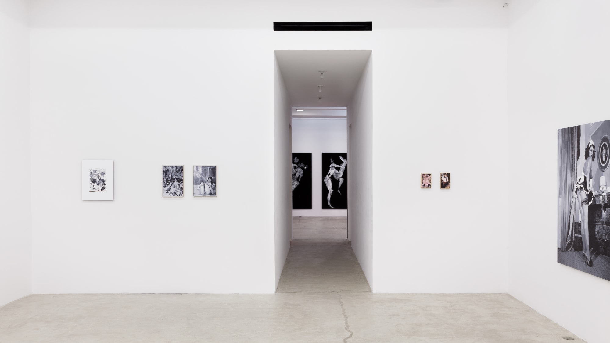 I Know It When I See It, Installation View, 2013