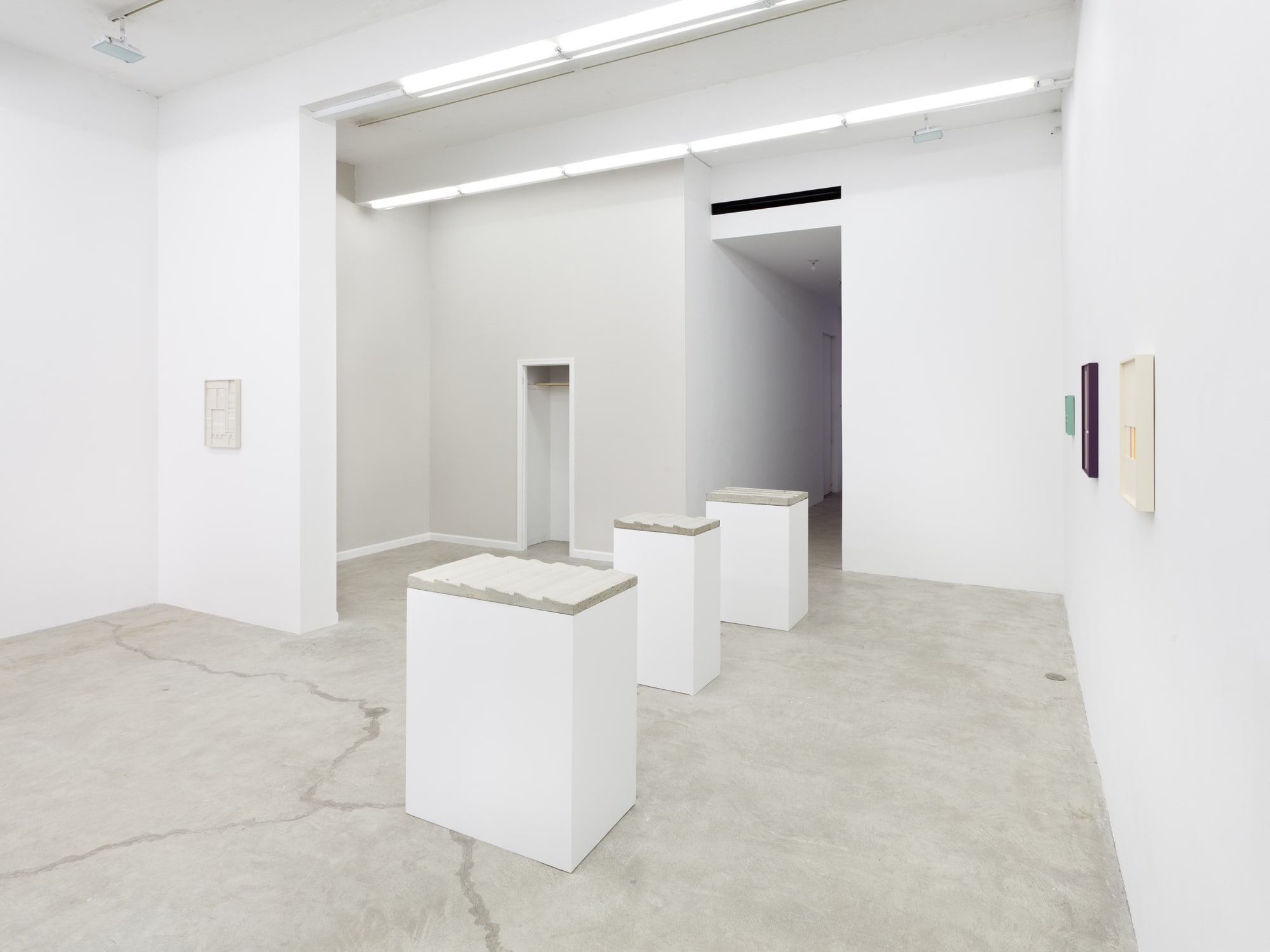 Aaron Aujla - Charles Harlan - John Pittman, Installation View, 2013