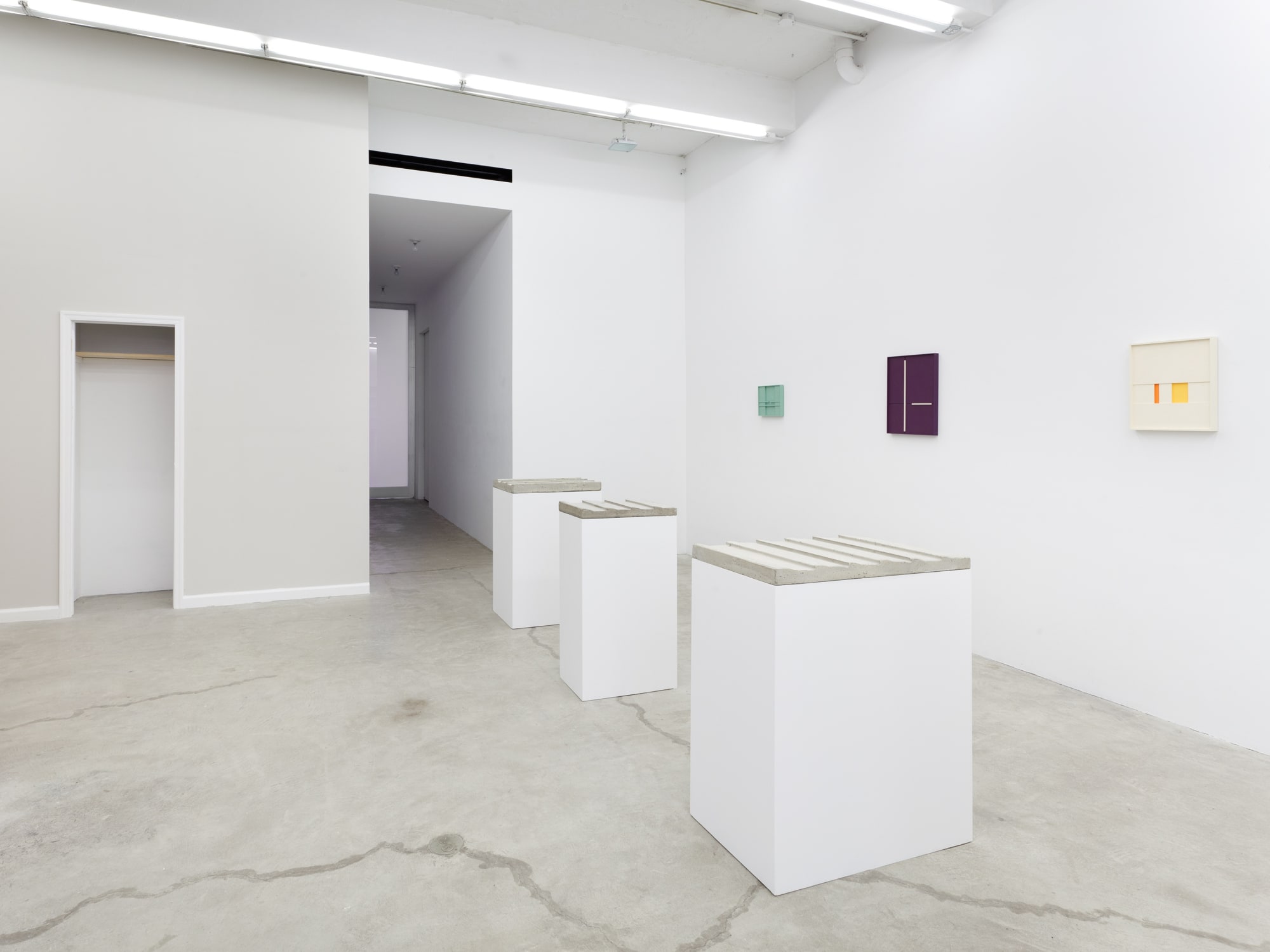 Aaron Aujla - Charles Harlan - John Pittman, Installation View, 2013