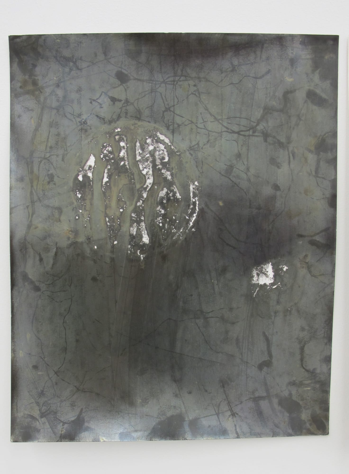 Ryan Foerster Untitled, 2012 toned silver gelatin 20 x 16 inches