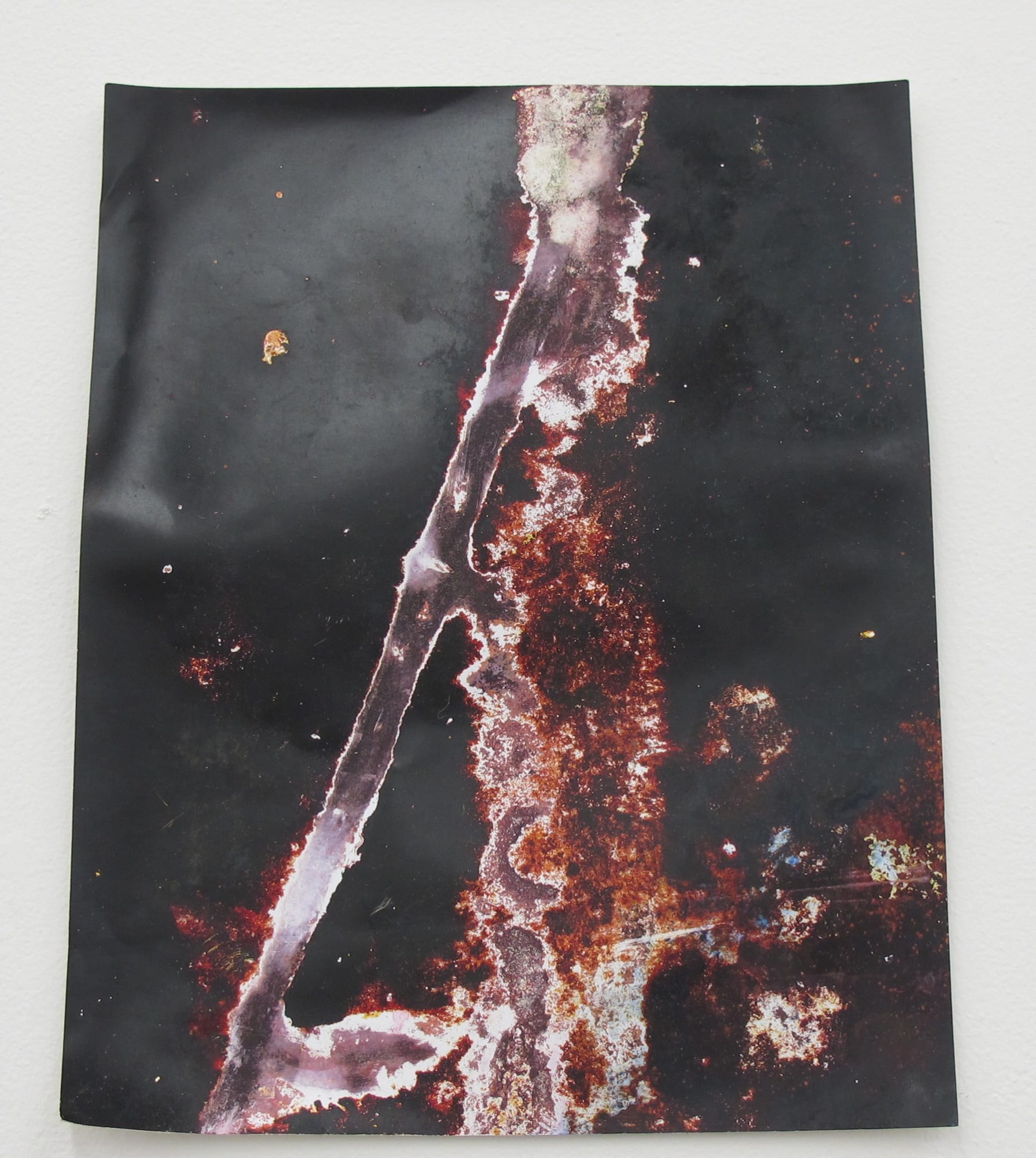 Ryan Foerster Untitled, 2012 corroded C-print 14 x 11 inches