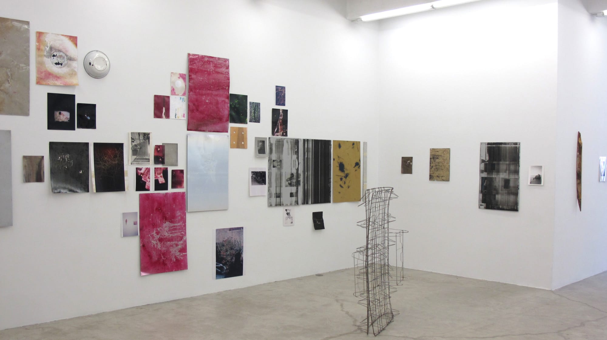 Ryan Foerster, Installation View, 2012