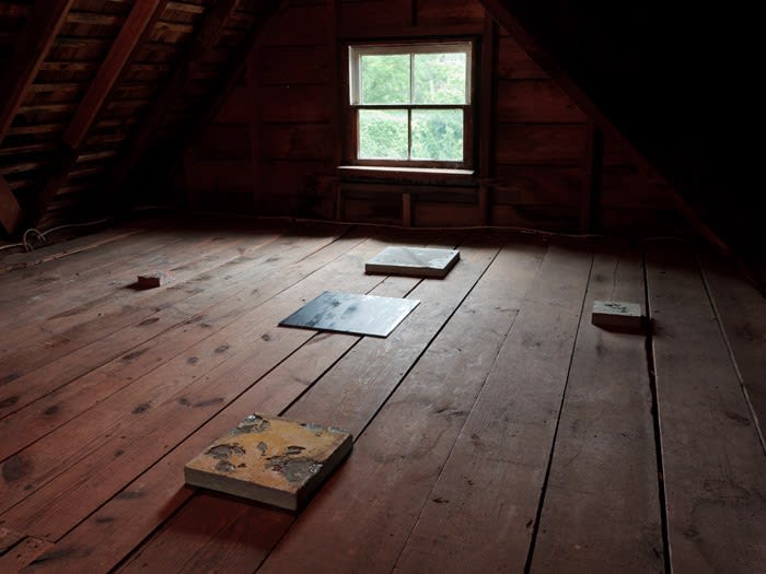 Creature From the Blue Lagoon, Installation View, 2012