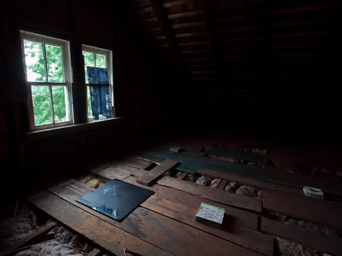 Creature From the Blue Lagoon, Installation View, 2012