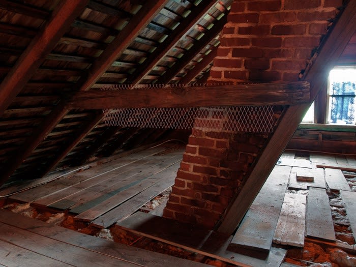 Creature From the Blue Lagoon, Installation View, 2012