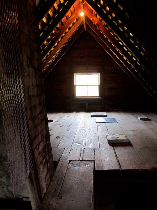 Creature From the Blue Lagoon, Installation View, 2012