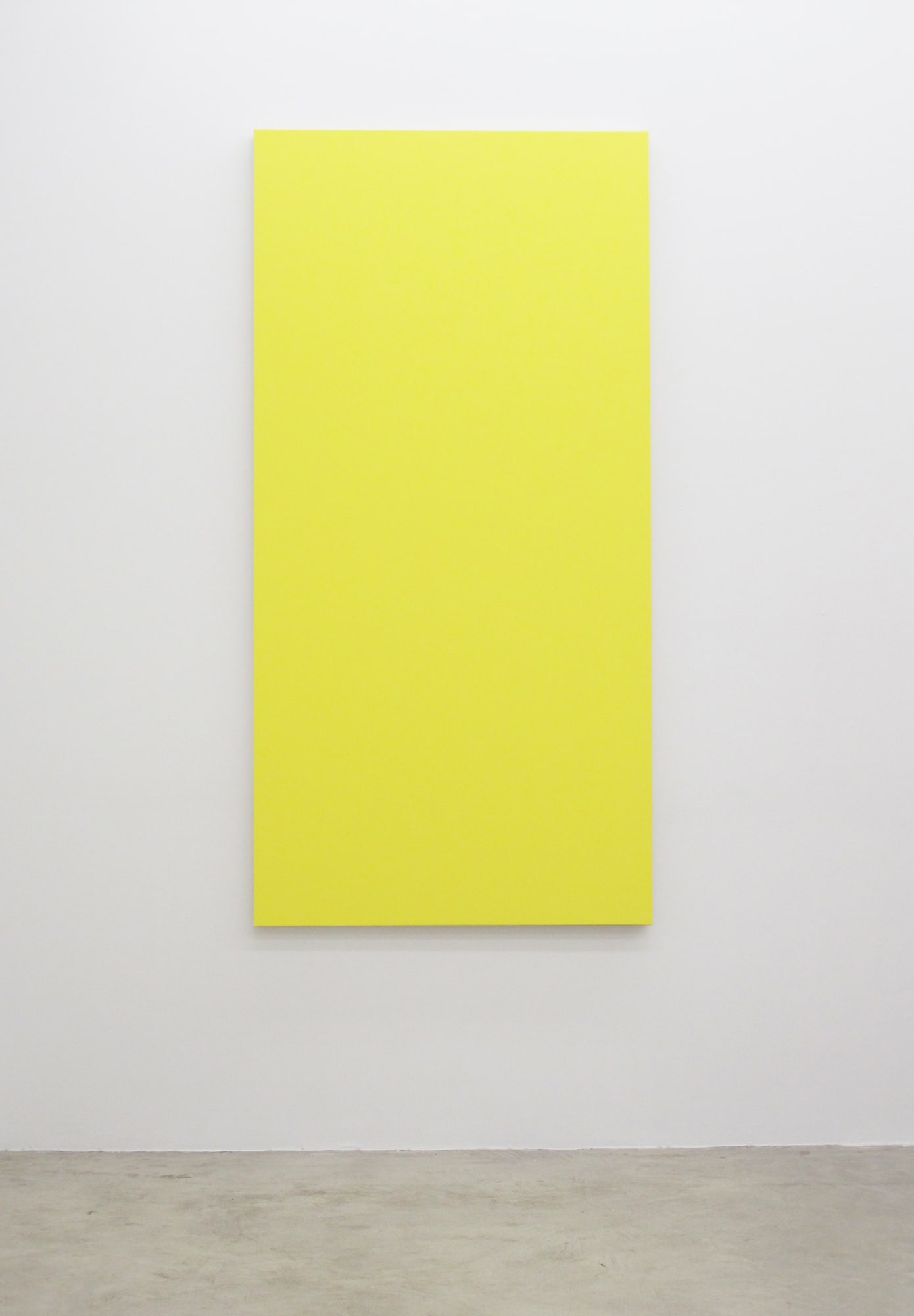 Henry Codax Untitled (Yellow), 2011 acrylic on canvas 84 x 42 inches