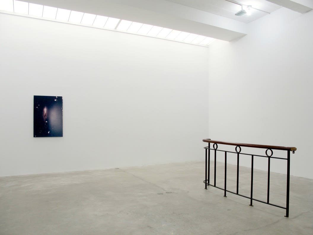 Ryan Foerster / Ben Schumacher, Installation View, 2012