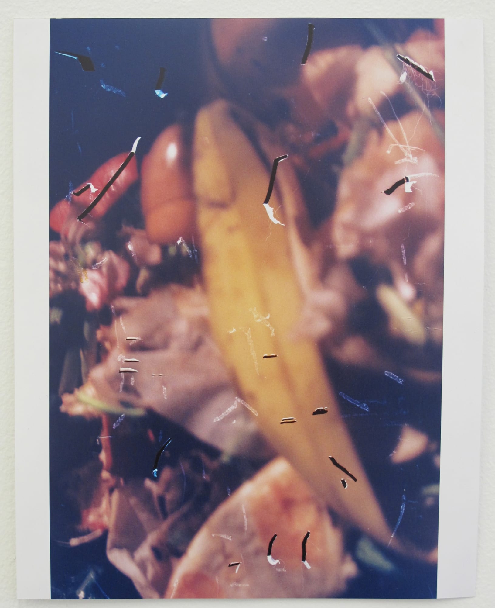 Ryan Foerster food bomb - compost, 2011 C-print 10 x 8 inches 1/3 + II AP