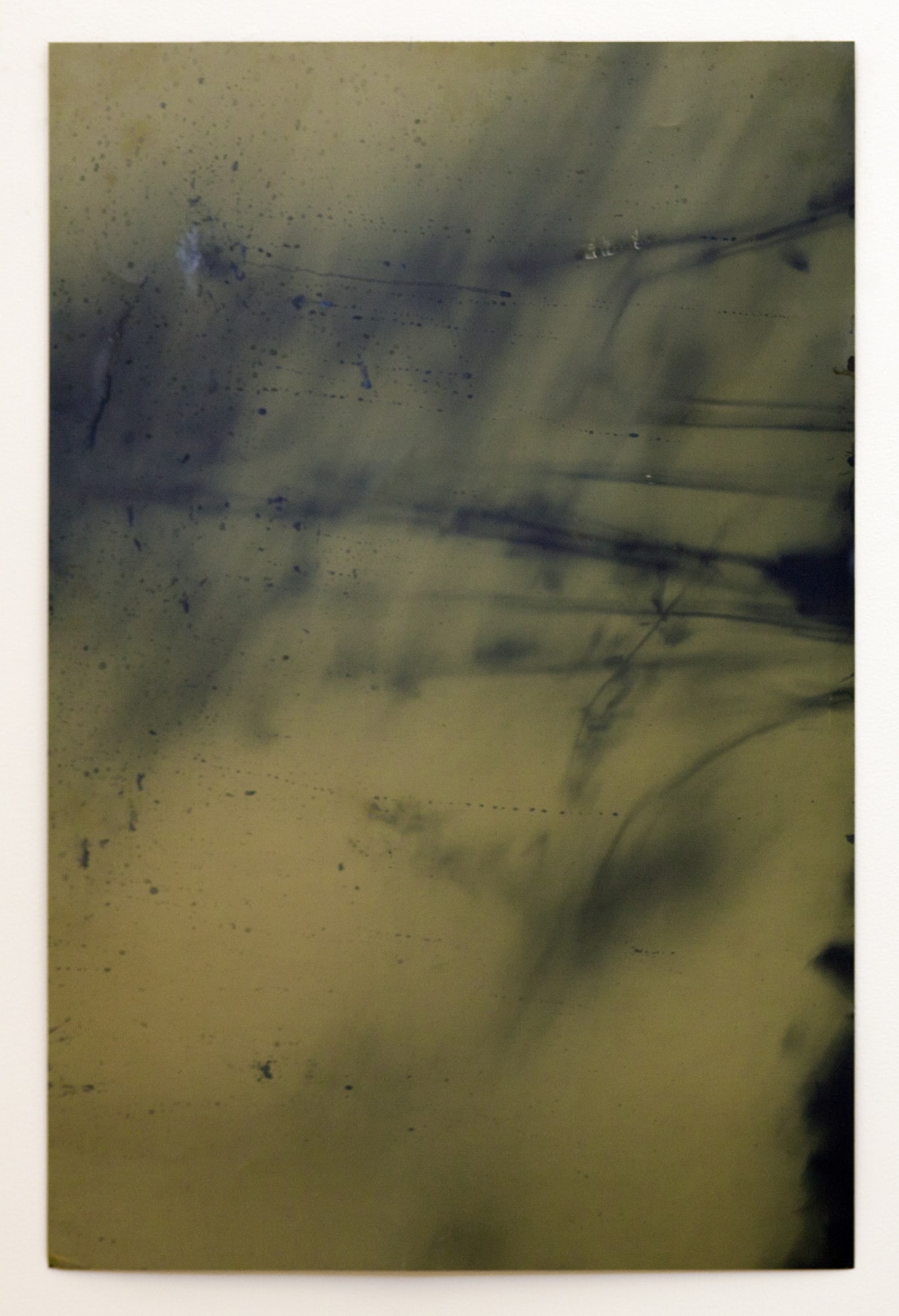 Ryan Foerster negative printing plate dead tomato plants, 2011/2012 aluminum 35 x 23 inches