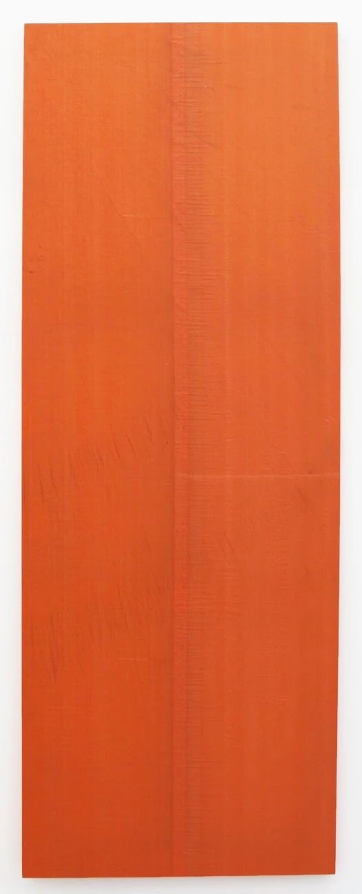 Aaron Bobrow The Chastity of Luis Barragan, 2011 tarp 90 x 33 in