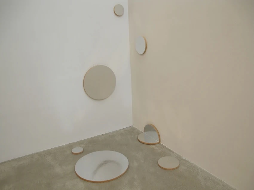 Lisa Beck Slacker, 1991 mylar on panels dimensions variable