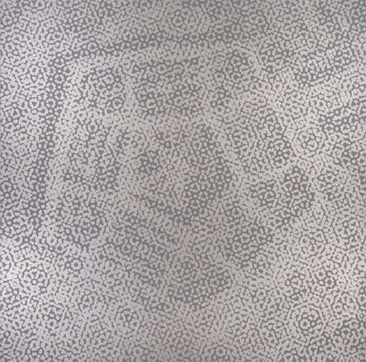 Wayne Gonzales Grey Pentagon, 2005 acrylic on canvas 92 x 92 in