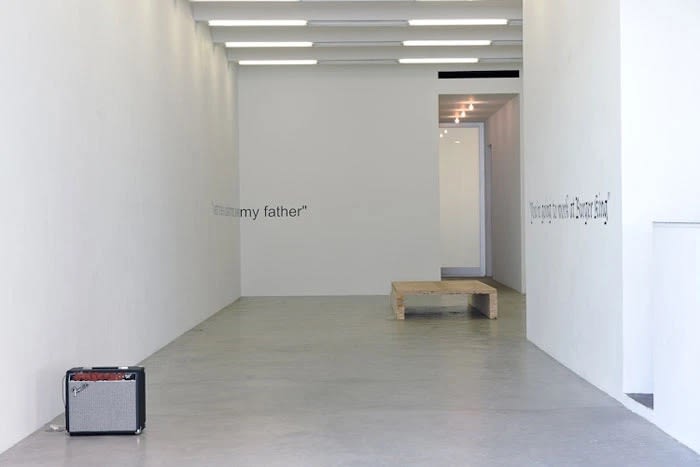 The Feral Child Has No Use For Art, Installation View, 2011