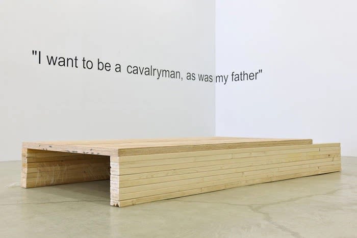 The Feral Child Has No Use For Art, Installation View, 2011