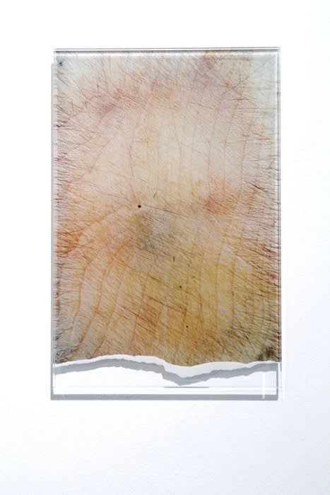 Jessica Mallock Chopping Board, 2009 manipulated c-type photograph mounted on glass 10.25 x 7 in