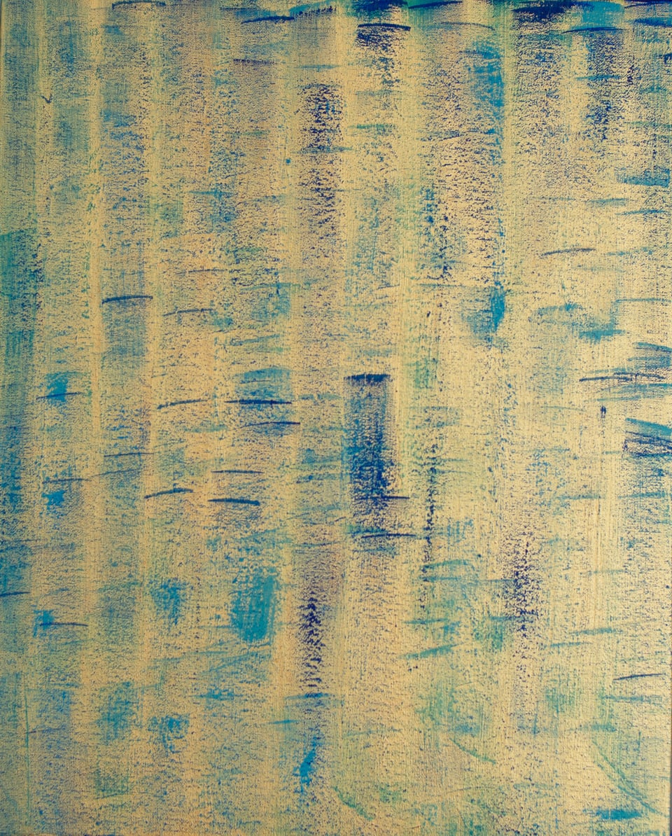 Apple by Philip Fisher 16 X 20