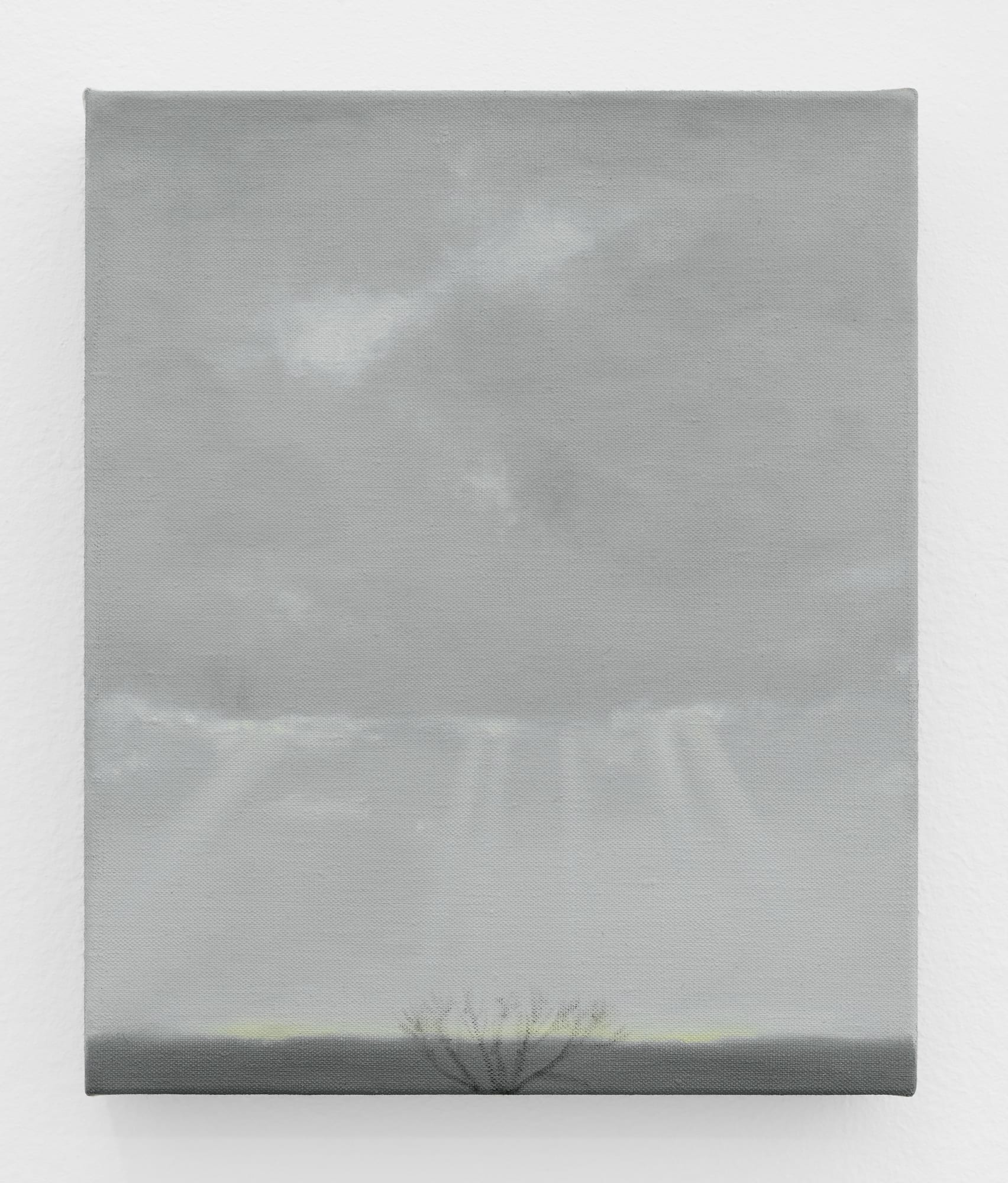 Dylan Willams Flower Called Nowhere, 2023 oil on linen 12 1/4 x 10 1/4 in. (31 x 26 cm.)