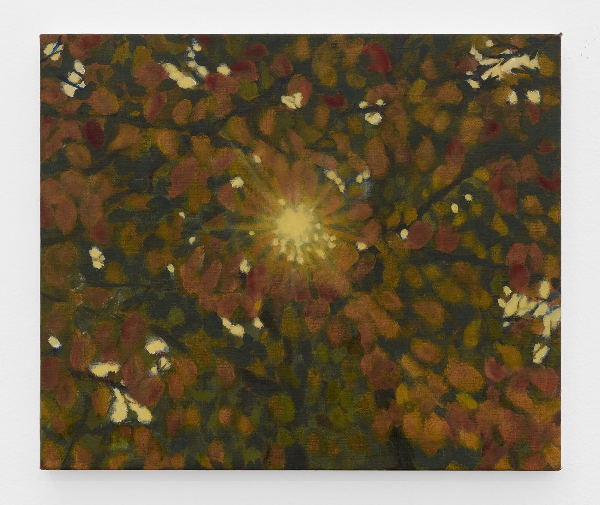 Miho Ichise Warm, Gentle, 2024 oil on linen 15 x 18 in. (38 x 45.5 cm.)