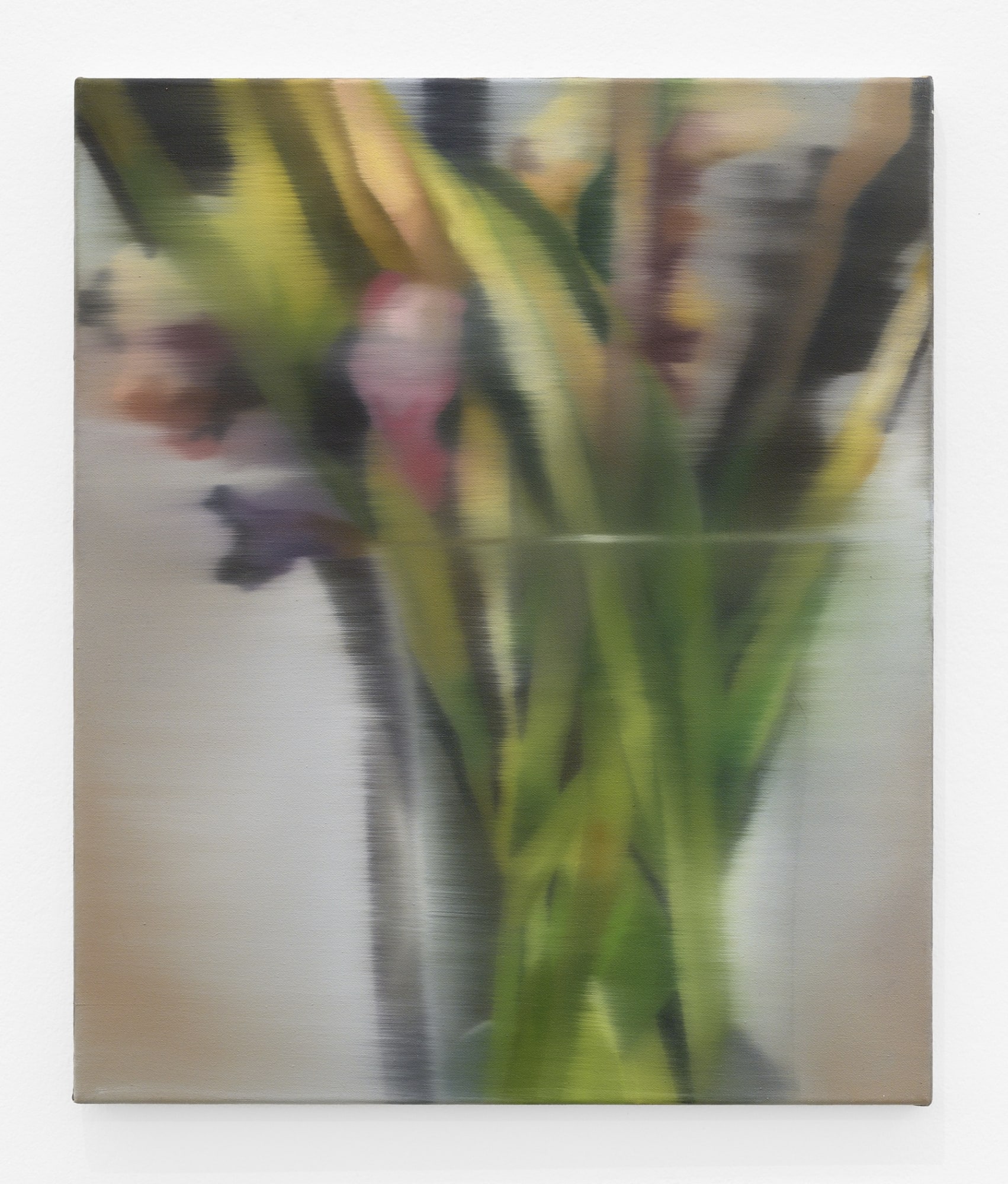 Johanna Bath Gladiole, 2023 oil on canvas 23 1/2 x 19 3/4 in. (60 x 50 cm.)