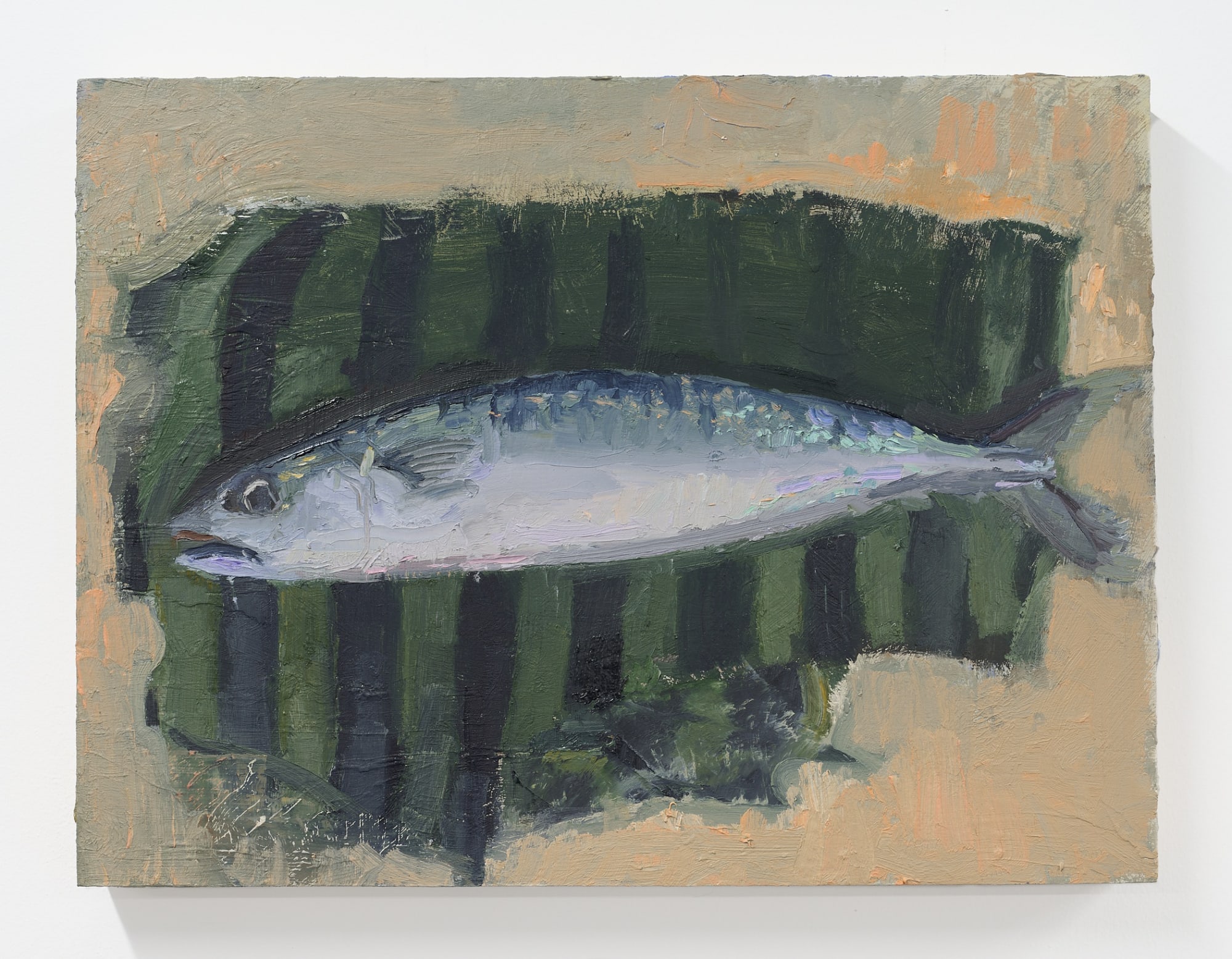 Seth Baker Mackerel, 2022 oil on panel 12 x 16 in. (30 x 41 cm.)
