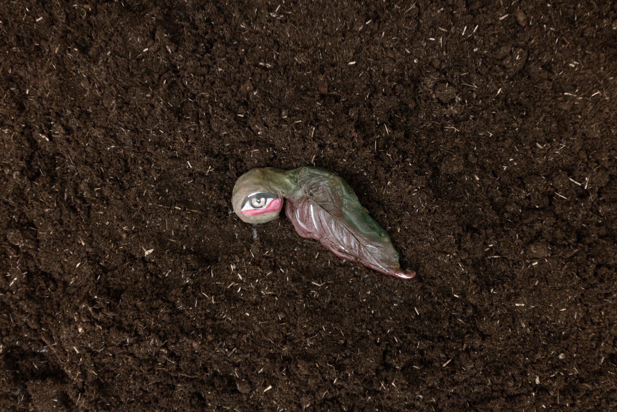 'I Found You Above My Skin Under My Earth' by Alymamah Rashed