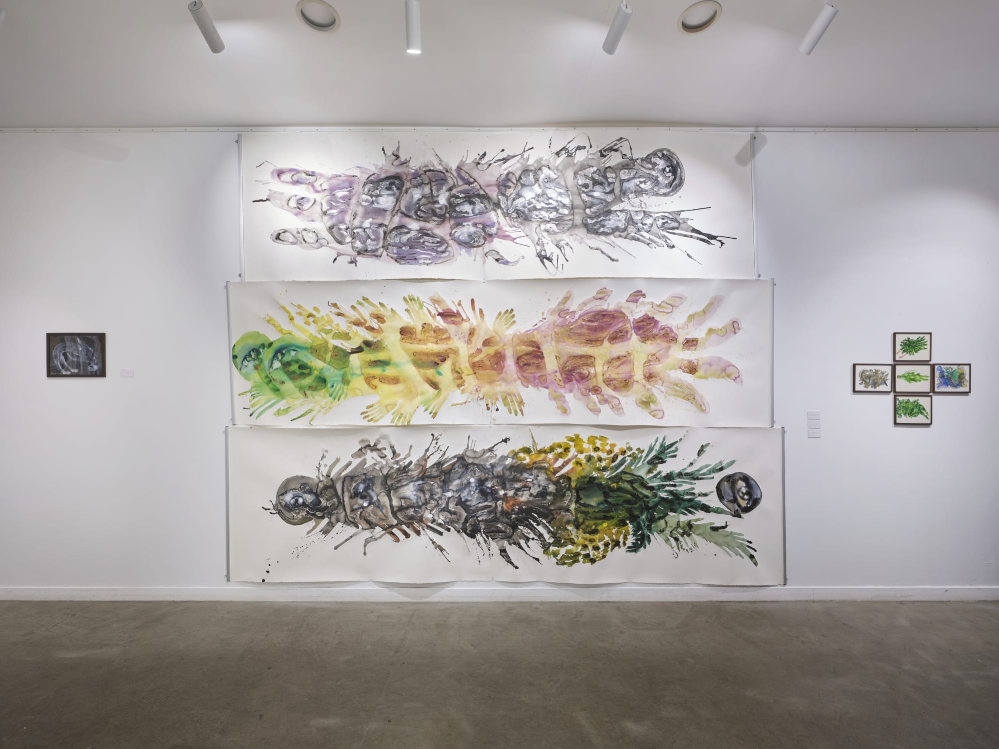 My Circular Spirit Resides in Your Land