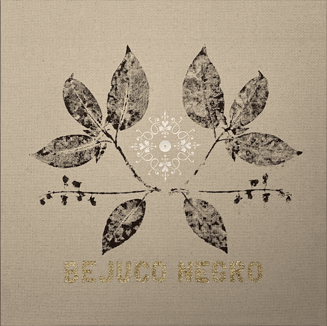 María Virginia Pineda, Su Majestad Vegetal: Bejuco Negro (2021), Grafito líquido, vinil texil y hojilla de oro sobre tela, 40 × 40 cm