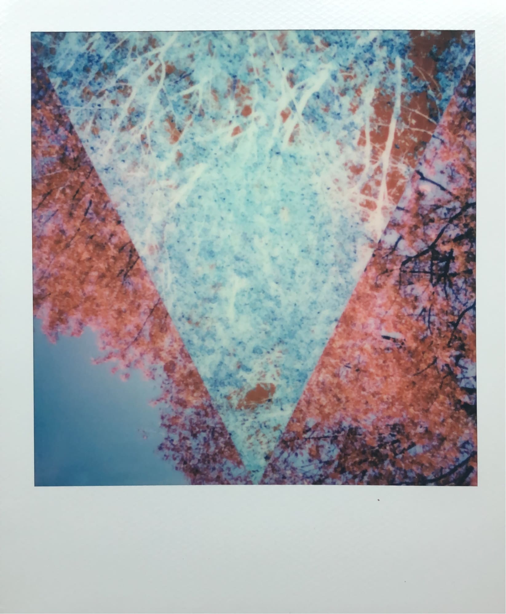 Equilibrio Elemental