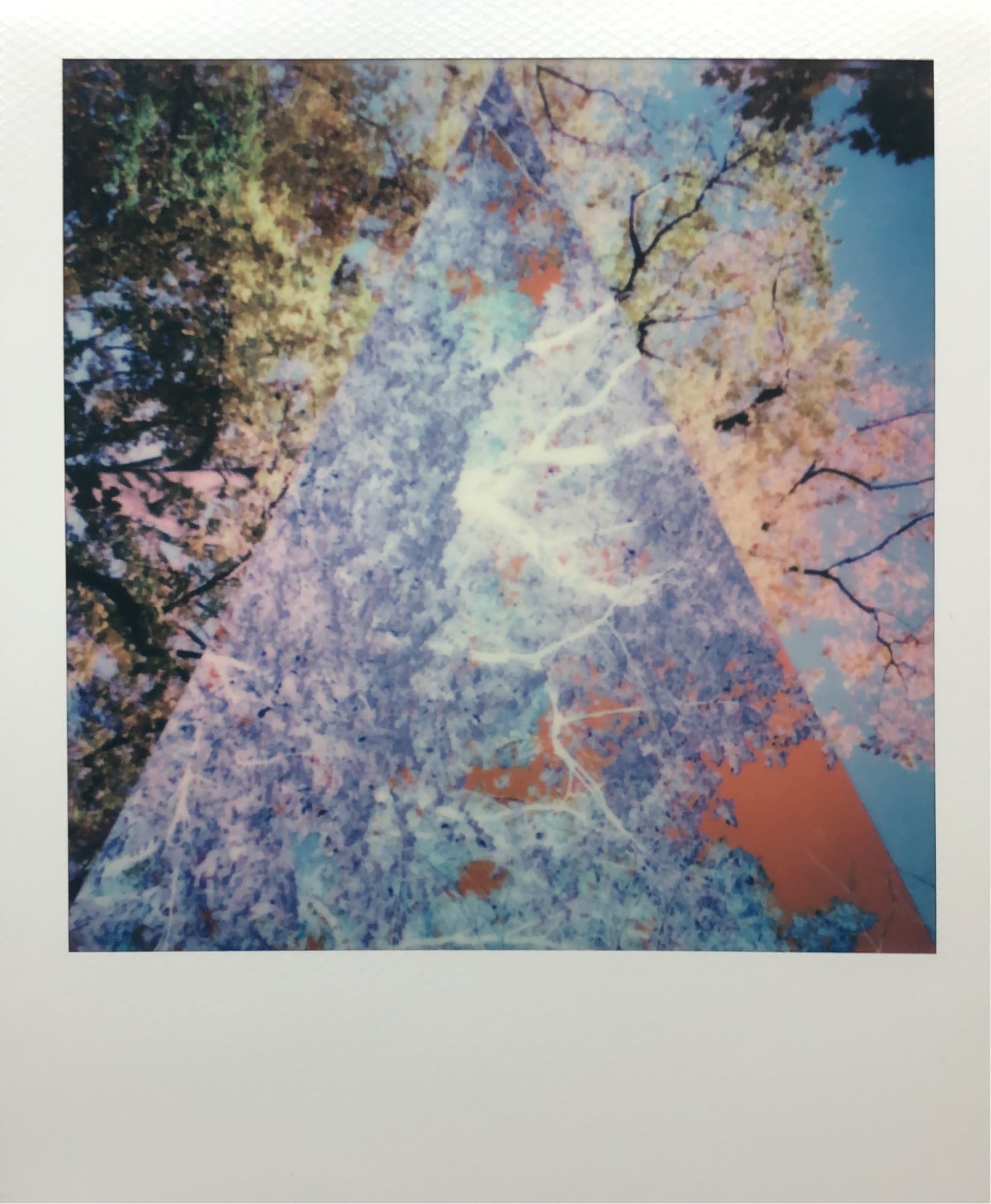 Equilibrio Elemental