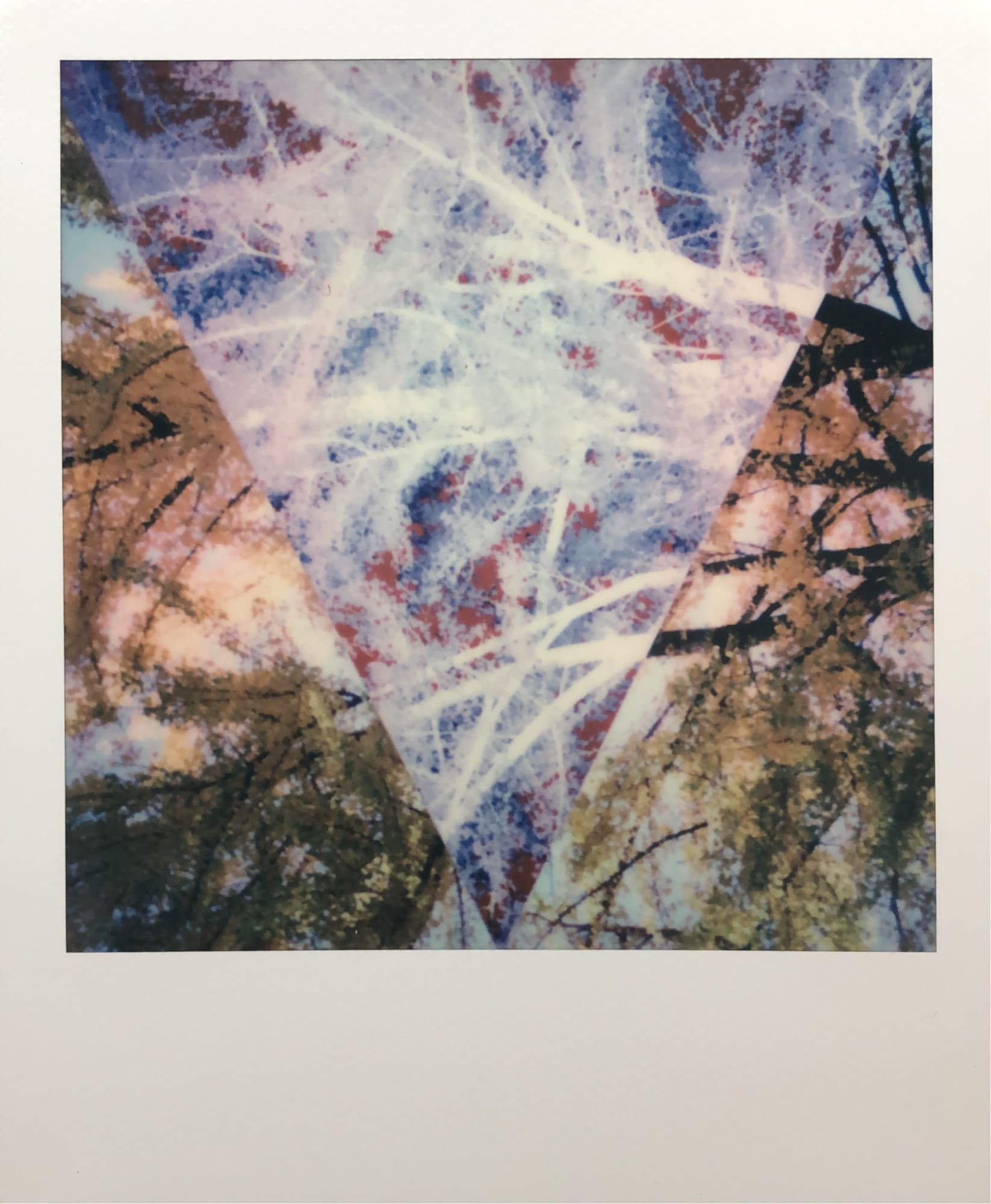 Equilibrio Elemental