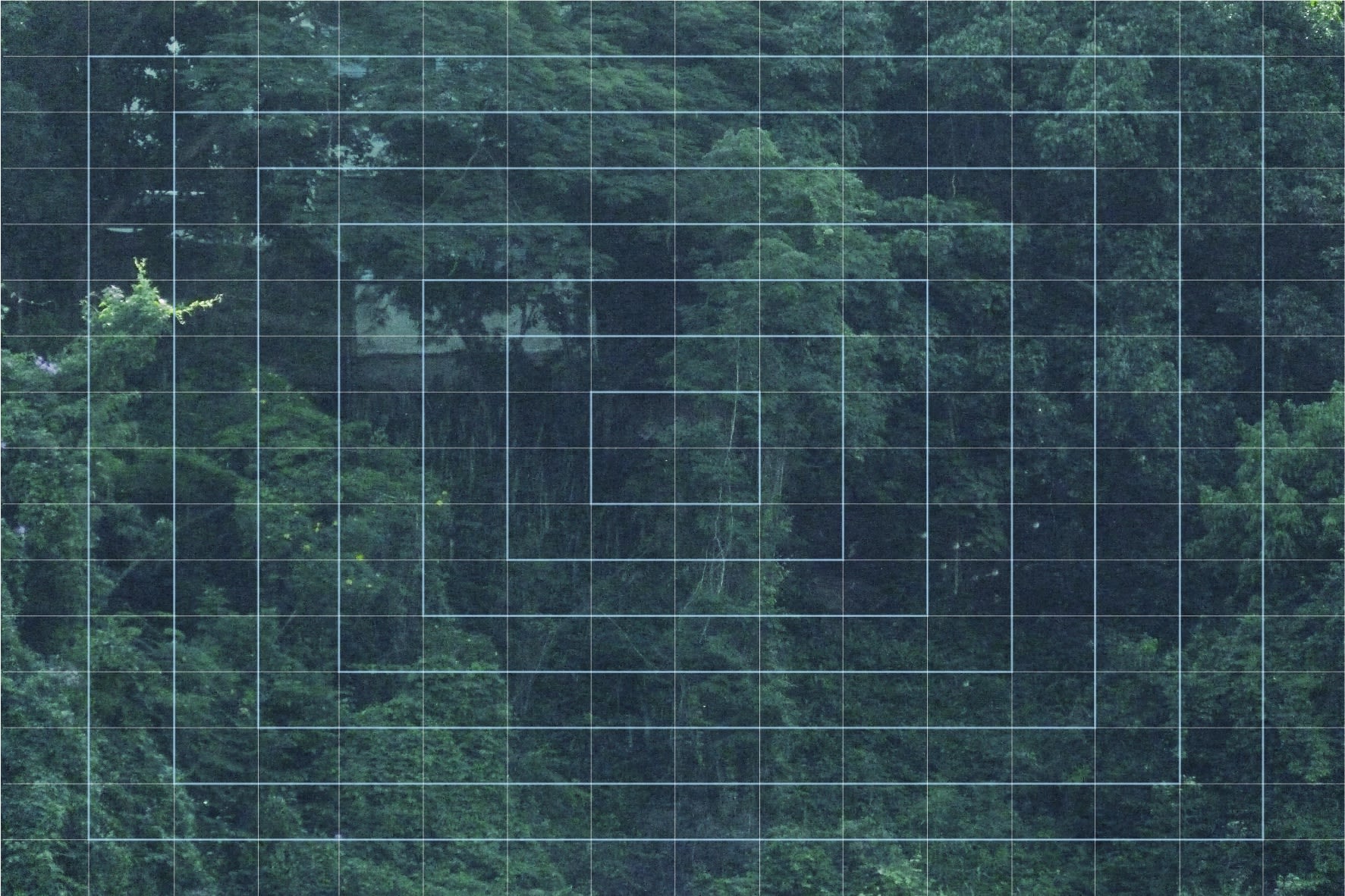 Colinas de Bello Monte. Caracas. (2019), Fotomontaje digital, revelado en papel Kodac, 16.1 x 24.2 cm