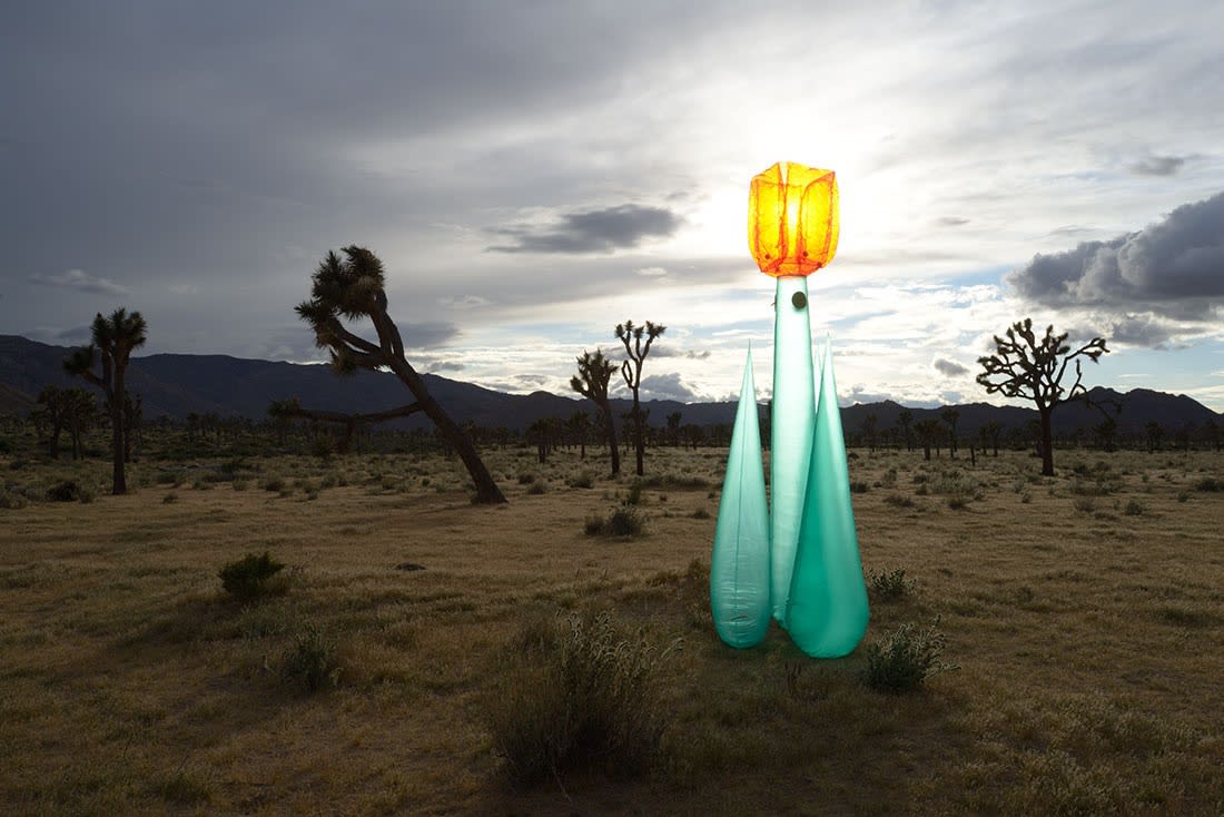 Desert Projekt exhibition in Los Angeles by Julia Curylo and Craig Deman