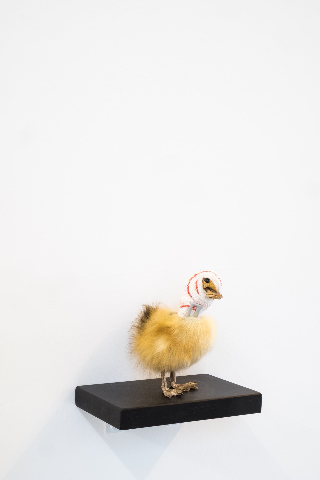 Lust, Laughter, Liquor