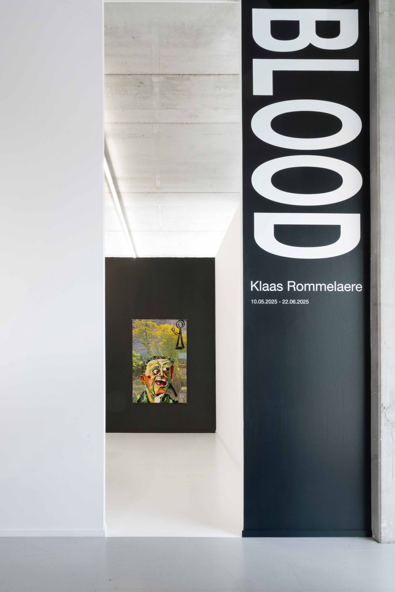 Klaas Rommelaere